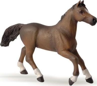 Papo Anglo-arab tamma, 3 År, Hevoset, varsat ja ponit, Brun, PVC