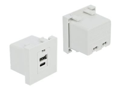 DeLOCK 81313, USB A + USB C, Kierrepuristintyyppinen liitin, Valkoinen, Muovi, Teho, 100 - 240 V
