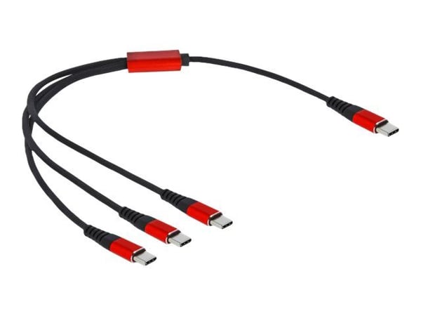 Delock - USB-kabel - USB-C (hann) til USB-C (hann) - USB 2.0 - 5 V - 3 A - 30 cm - svart