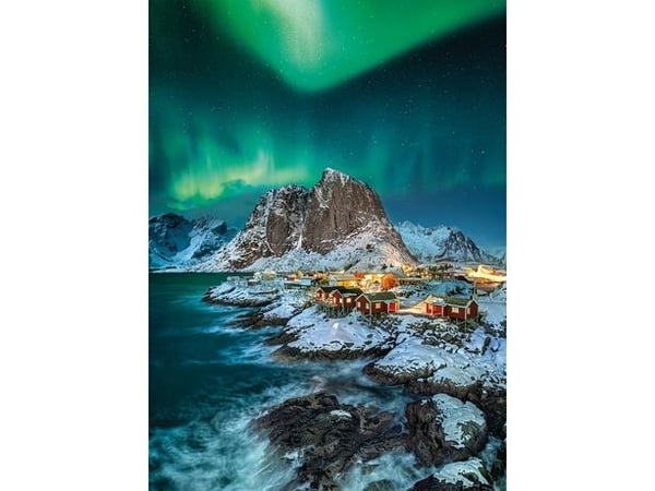 Clementoni Lofoten Islands, 1000 kpl, Eläimistö, 10 vuosi/vuosia