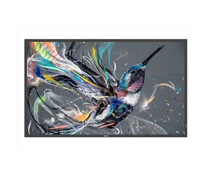Philips 50BDL3550Q - 50" Diagonalklasse (49.5" synlig) - Q-Line LED-bakgrunnsbelyst LCD-skjerm - intelligent skilting - 4K UHD (2160p) 3840 x 2160 ...