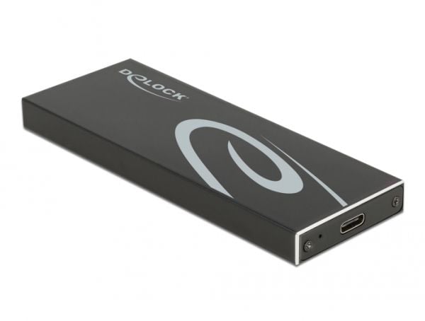 Delock - Lagringspakning - M.2 - M.2 Card / SATA 6Gb/s - USB 3.2 (Gen 2) - sort