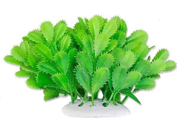 Happet HAPPET PLANTEFOLIE 10CM / 1F10 Happet HAPPET PLANTEFOLIE 10CM / 1F10
