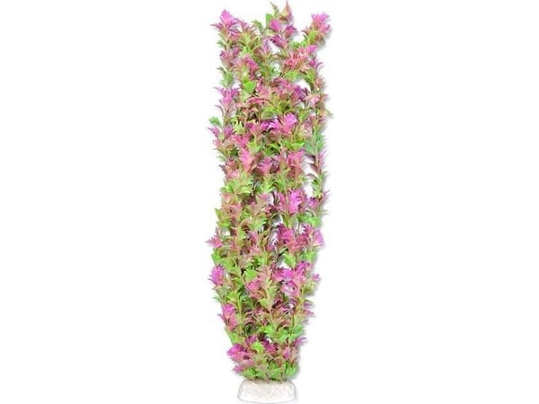 Happet HAPPET KASVI FOLIA 65CM / 6F36
