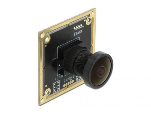 Delock USB 2.0 Camera Module with Wide Dynamic Range - Overvåkingskamera - brett - farge - 1920 x 1080 - 1080p - fastfokal - USB 2.0 - DC 5 V