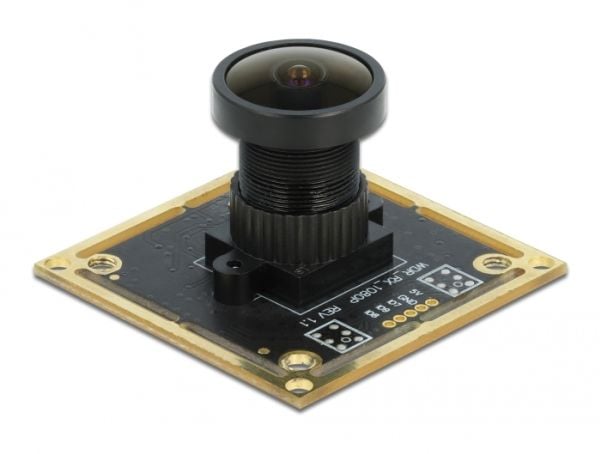 Delock USB 2.0 Camera Module with Wide Dynamic Range - Overvåkingskamera - brett - farge - 1920 x 1080 - 1080p - fastfokal - USB 2.0 - DC 5 V