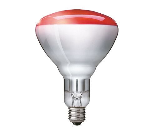 Philips InfraRed Industrial Heat - Infrarødt glødelampesøkelys - form: BR125 - E27 - 250 W - rødt lys - rød