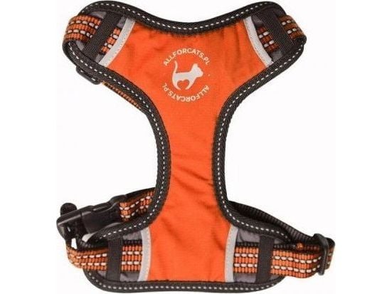 All For Dogs / All For Cats sportsele S orange