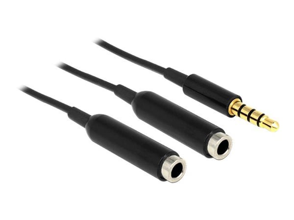 DeLOCK 65575, 3.5mm, Uros, 2 x 3.5mm, Naaras, 0,25 m, Musta