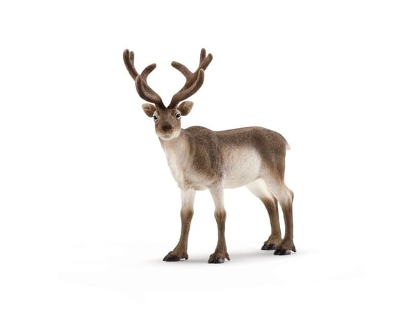 Schleich Wild Life 14837 Reinsdyr