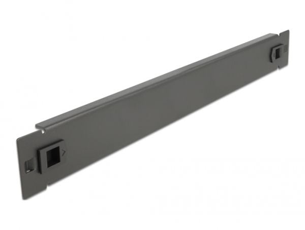 Delock - Blindpanel till rack - svart - 1U - 19"