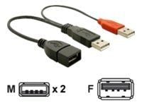 Delock - USB-kabel - USB, USB (kun strøm) (hann) til USB (hunn) - USB 2.0 - 23 cm