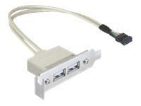 Delock Slot bracket - USB-kabel - USB (hunn) til 9-pins USB-header (hunn) - USB 2.0 - 50 cm