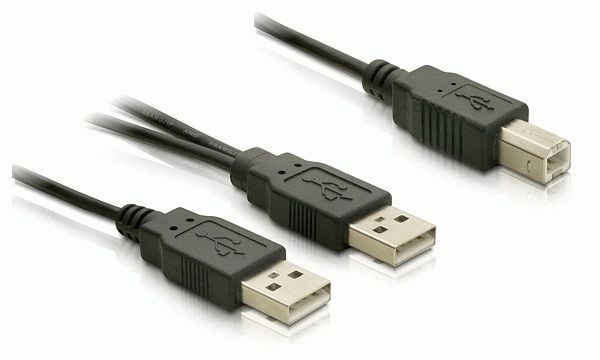 Delock - USB-kabel - USB-type B (hann) til USB (hann) - USB 2.0 - 1 m