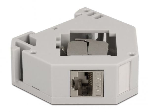 Delock - Modulær adapter - DIN-skinnemonterbar - grå - 1 portti