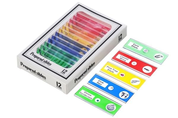 Levenhuk LabZZ DM200, Digitalt, Grønn, Plast, LCD, 10,9 cm (4.3"), 0 - 83 mm