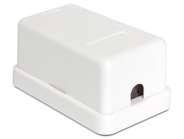 Delock Keystone Surface Mounted Box - Modulært innføringshus - hvit - 1 port