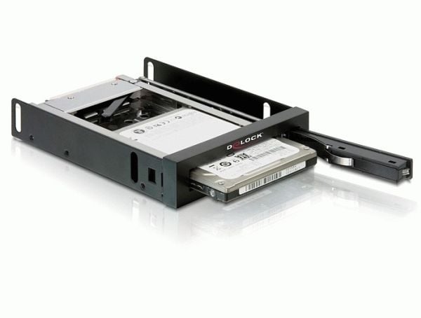 Delock - Bevegelig lagerrack - 2.5"