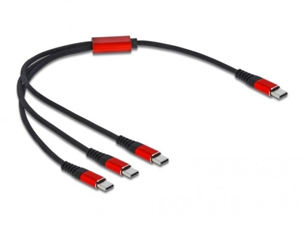 Delock - USB-kabel - USB-C (hann) til USB-C (hann) - USB 2.0 - 5 V - 3 A - 30 cm - svart