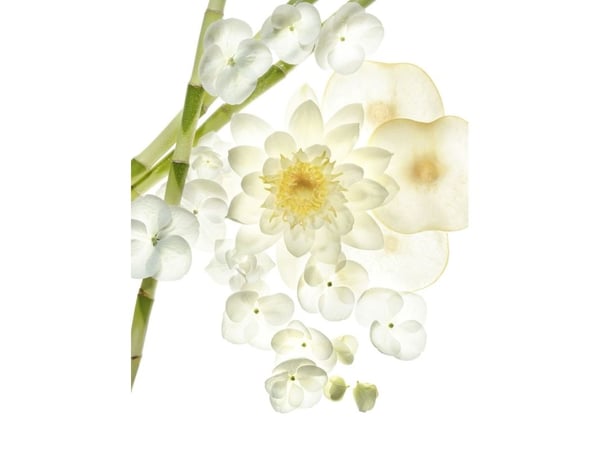 Bvlgari Omnia Crystalline EDT 40ml