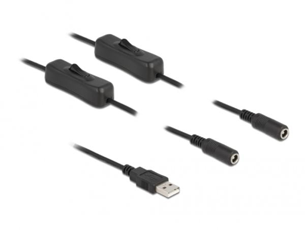 Delock - Strömdelare - USB (hane) till DC-jack 5,5 x 2,1 mm (hona) - 1 m - svart