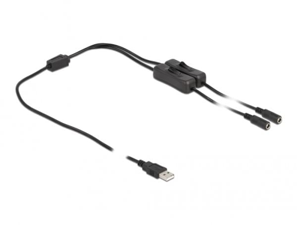Delock - Strömdelare - USB (hane) till DC-jack 5,5 x 2,1 mm (hona) - 1 m - svart