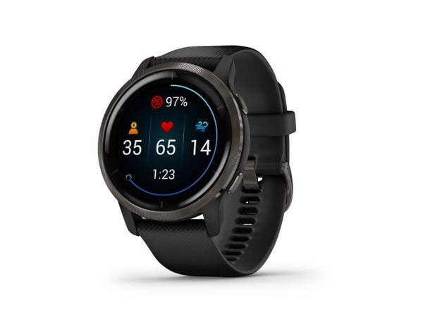 Garmin Venu 2 - 45 mm - svart - sportsur med bånd - silikon - svart - håndleddstørrelse: 135-200 mm - display 1.3" - Bluetooth, Wi-Fi, ANT+ - 49 g