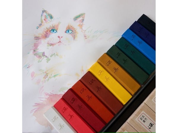 Saiboku Shimbi 14 Ink stick set