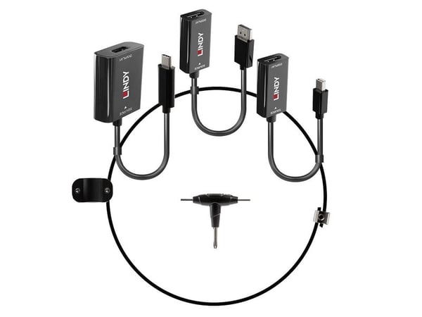 Lindy 38304, HDMI Type A (Standard), DisplayPort + Mini DisplayPort + USB Type-C, Hunkjønn, Hankjønn, Rett, Rett