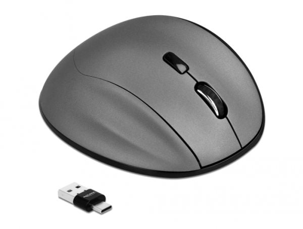 DeLOCK 12016, Oikeakätinen, Optinen, RF Wireless + Bluetooth, 2400 DPI, Antrasiitti, Musta