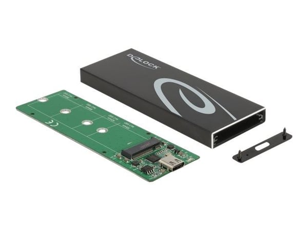 Delock - Lagringspakning - M.2 - M.2 Card / SATA 6Gb/s - USB 3.2 (Gen 2) - sort