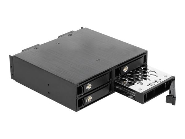 Delock - Bevegelig lagerrack - 2.5"