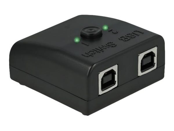 Delock - USB-sovitin - RS-232 - USB 2.0 tyyppi B x 2 - lajittelu - lajittelu