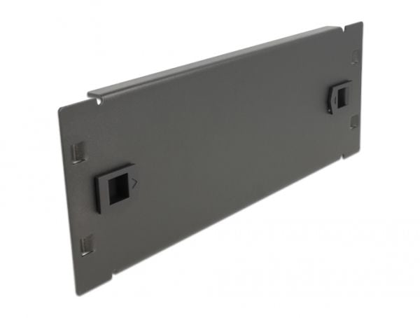 Delock - Dekkepanel for rackavskjerming - svart - 2U - 10"
