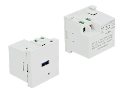 Delock - Easy 45 - USB-uttag - USB - 1 grupp - 3 A - vit, RAL 9003