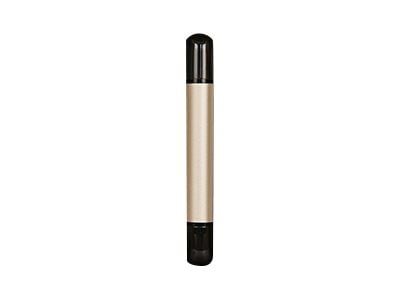 Transcend JetFlash 930C - USB-muistitikku - 256 GB - USB 3.2 Gen 1 / USB-C - kultainen