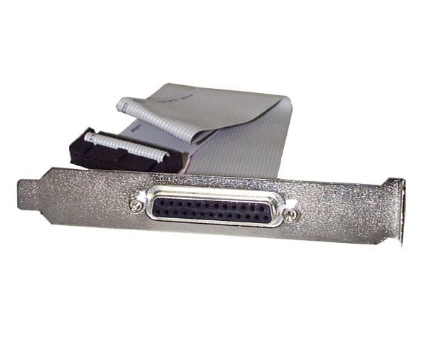 StarTech 16in DB25 Parallel Female to IDC 25 Pin Header Slot Plate (PLATE25F16) - Parallellpanel - DB-25 (hunn) til 26 pin IDC (hunn) - 40.64 cm - grå