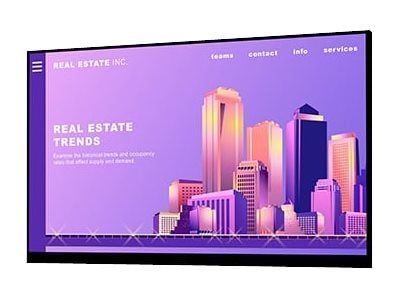 Dell P2422H - Utan ställ - LED-skärm - 24" (23.8" visbar) - 1920 x 1080 Full HD (1080p) @ 60 Hz - IPS - 250 cd/m² - 1000:1 - 5 ms - HDMI, VGA, Disp...