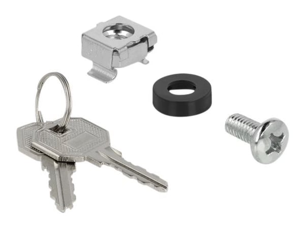 Delock - Skap - veggmonterbar - svart - 4U - 10"