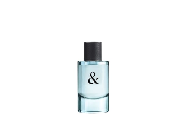 TIFFANY & CO LOVE FOR HIM (M) EDT/S 50ML