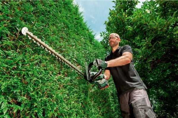Metabo AHS 18-65 V - Hekkstusser - trådløs - 18 V - uten batteri - 2700 spm - 65 cm - 63 cm - kuttekapasitet: 18 mm - 3.9 kg