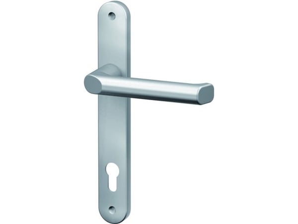 BASI 7831-0101, Käytäväoven kahva, Sisätila ja ulkotila, Hopea, Alumiini, 32 mm, 249 mm