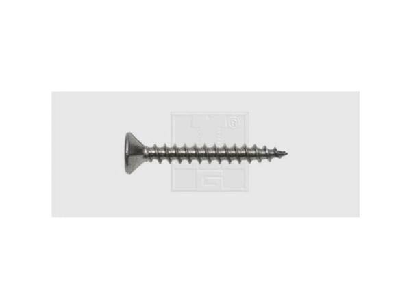 SWG 18342010 sponplate skrue 4 mm 20 mm innvendig multitann rustfritt stål A2 200 stk