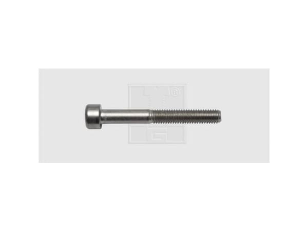 SWG insexskruvar M6 16 mm DIN 912 rostfritt stål A2 50 st