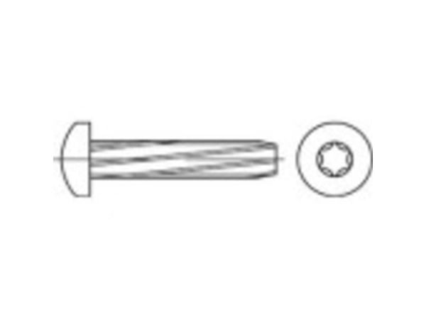 TOOLCRAFT 141920 plateskruer M5 25 mm T-profil DIN 7516 stål galvanisert 500 stk