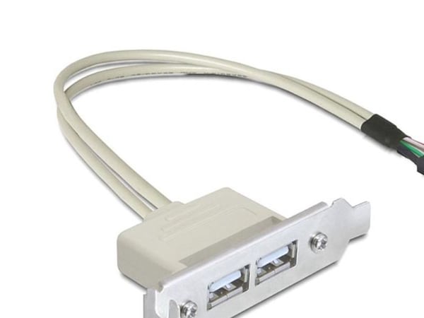 Delock Slot bracket - USB-kabel - USB (hunn) til 9-pins USB-header (hunn) - USB 2.0 - 50 cm