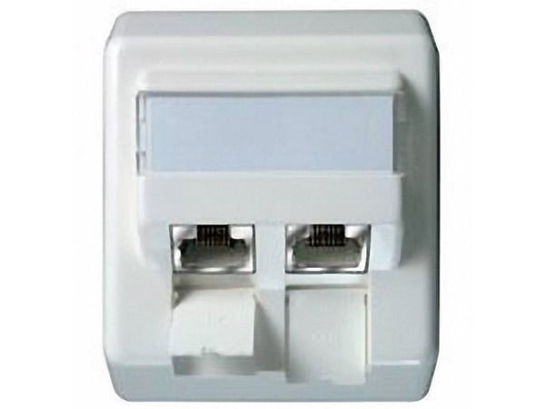 Telegärtner - Verkkopistorasia - RJ-45 (W) - CAT 6 - valkoinen, helmiäisvärinen