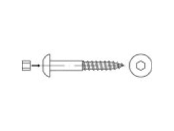 TOOLCRAFT 159343 halv-runde treskruer 10 mm 80 mm innvendig sekskant stål galvanisert 50 stk