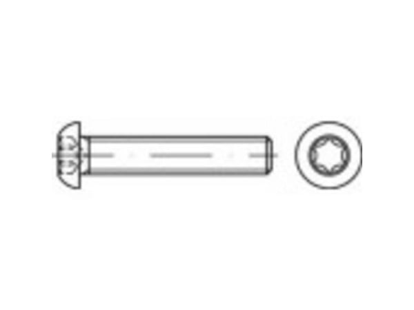 TOOLCRAFT 148234 senkeskruer M5 20 mm T-profil stål galvanisert 500 stk