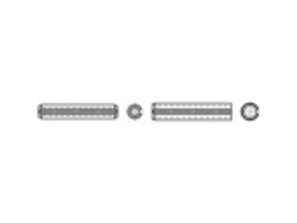 TOOLCRAFT rørstift (Ø x L) 12 mm x 20 mm fjærstål, 50 stk